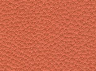 351 Terracotta